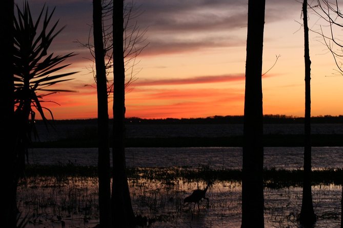 1-Hour Evening Airboat Ride - The Captain’s Role: Facts, Humor, and Finding Wildlife