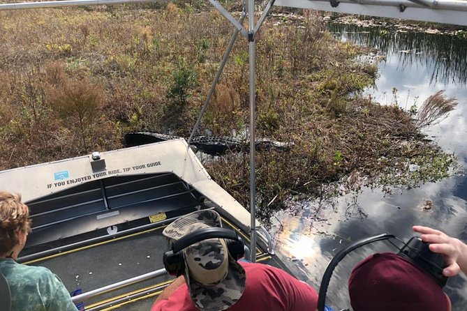 1 Hour Everglades Airboat Tour Orlando Florida - The 1-Hour Airboat Portion: What the Swamps Feel Like