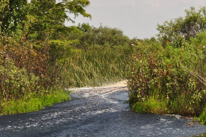 1 Hour Everglades Airboat Tour Orlando Florida - Comfort on the Ride: Loud Boats, Dry Gear, and Photo Time