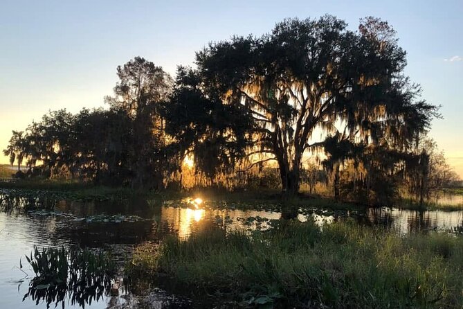 1 Hour Florida Everglades Wildlife Tour - What you do during the Kissimmee Everglades wildlife intro