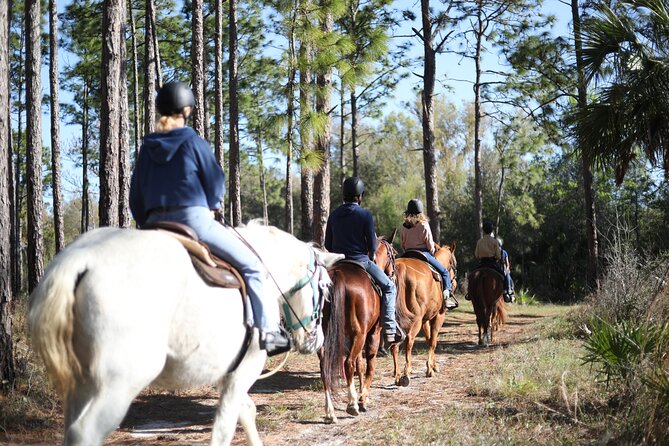 1 Hour Guided Horseback Trail Ride Rock Springs Run State Reserve - Rock Springs Run State Reserve: Why This Ride Feels Different