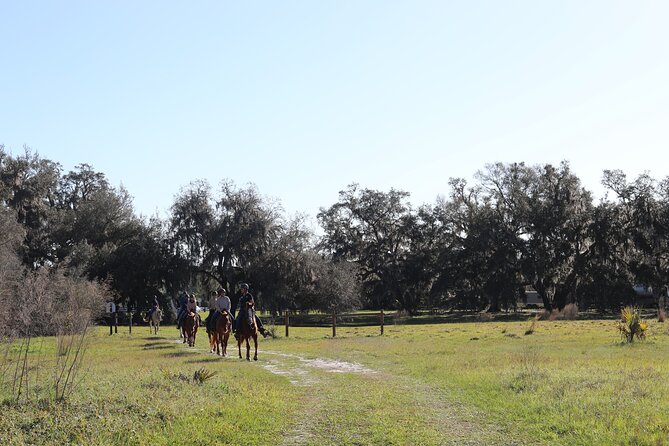 1 Hour Guided Horseback Trail Ride Rock Springs Run State Reserve - Guides Maddie, Courtney, and Cassie: How the Ride Gets Explained
