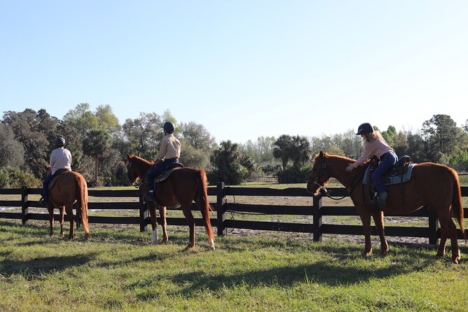 1 Hour Guided Horseback Trail Ride Rock Springs Run State Reserve - Price and Park Fees: Is This a Good Value at $79?