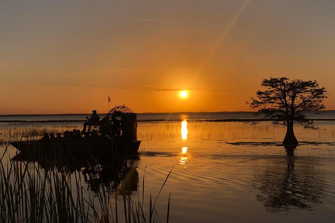 1-Hour Sunset Airboat Ride near Orlando - Your One-Hour Itinerary: What Happens During the Ride
