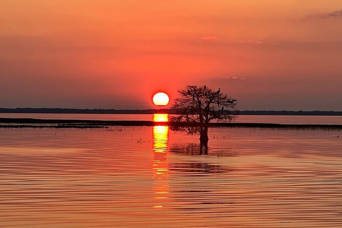 1-Hour Sunset Airboat Ride near Orlando - Wildlife Viewing at Sunset: How to Set Real Expectations