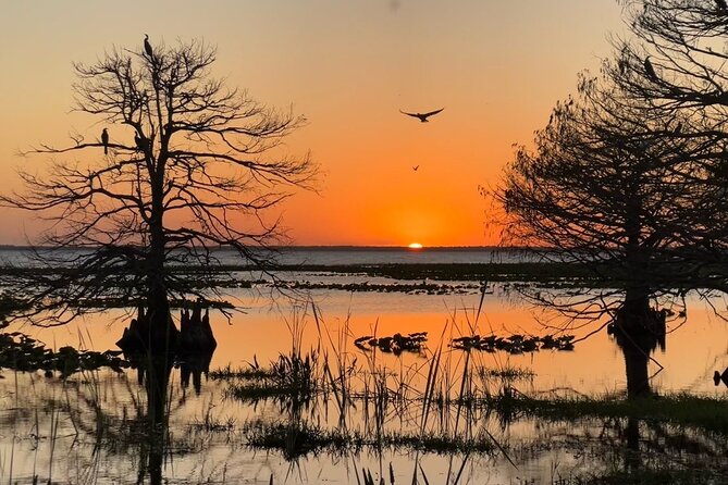 1-Hour Sunset Airboat Ride near Orlando - The Views: Postcard Water, Windy Comfort, and Photo Tips That Actually Help