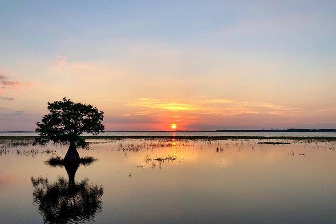 1-Hour Sunset Airboat Ride near Orlando - Before You Go: What You Can Expect Right at the Dock