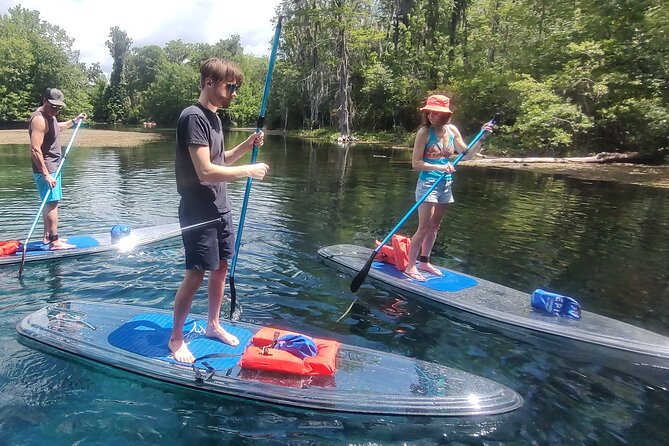 2-Hour Clear Kayak and Paddleboard(SUP) Rental in Orlando - Price and Value: What $45 for 2 Hours Really Buys You