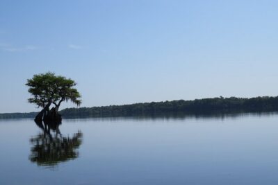 3 Hour Small Group Lake Norris Kayak Activity - The 3-Hour Out-and-Back Paddle: How the Time Usually Adds Up