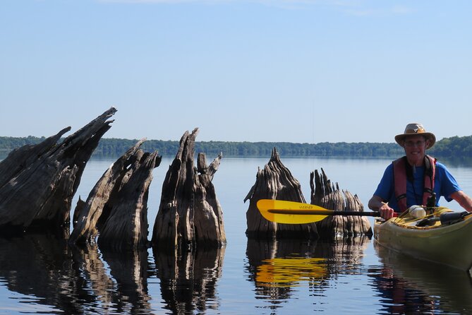 3 Hour Small Group Lake Norris Kayak Activity - Where You Meet: Lake Norris Conservation Area East Trailhead Setup