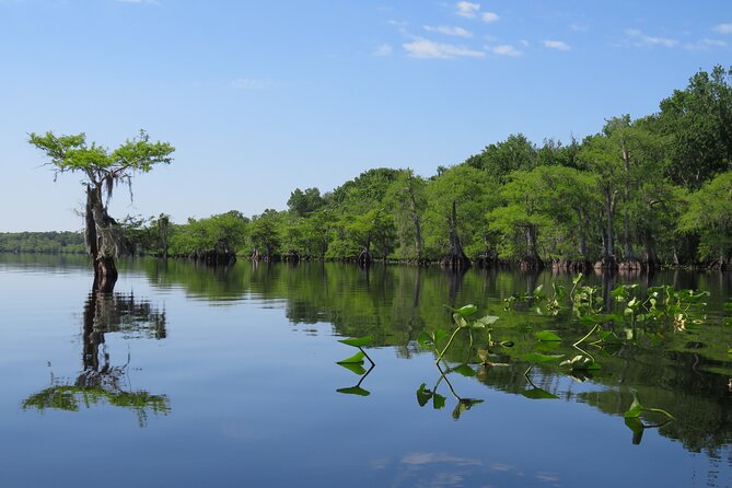 3 Hour Small Group Lake Norris Kayak Activity - Who This Kayak Tour Fits Best