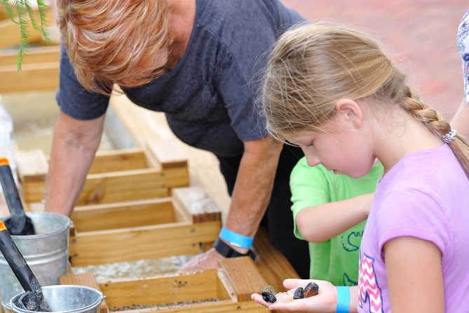 30-Minute Airboat Ride, Lunch, Gem Mining and Park Admission - Lunch at Boggy Bottom BBQ: using the $12 meal voucher well