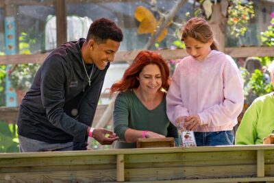 30-Minute Airboat Ride near Orlando - Alligator Oasis: The Live Viewing Part That Changes Everything