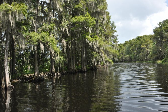 90 minute Everglades Airboat Tour near Orlando Florida - Price and value: is $89 fair for a 1.5-hour wildlife tour?