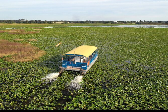90 Minute Florida Everglades Boat Eco Tour - Key highlights to know before you go