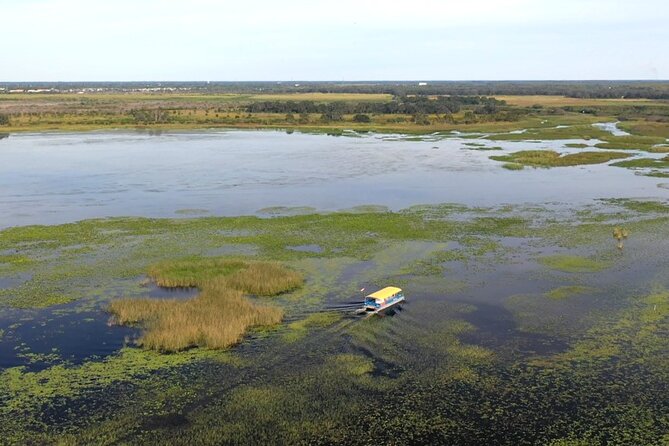 90 Minute Florida Everglades Boat Eco Tour - The main event: seeing wildlife on Lake Toho with Captain Chris