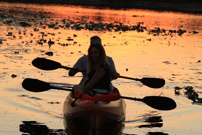 90-Minute Sunset paddle at Secret Lake Guided Kayak Tour in Casselberry - What you’re really paying for: value of the $45 ticket