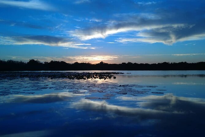 90-Minute Sunset paddle at Secret Lake Guided Kayak Tour in Casselberry - Meet your guide: what Aaron’s style brings to the trip