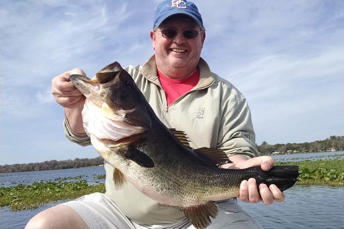 All Day Lake Toho Fishing Trip near Kissimmee - Wildlife Watching While You Fish: Eagles and Alligators in Real Time