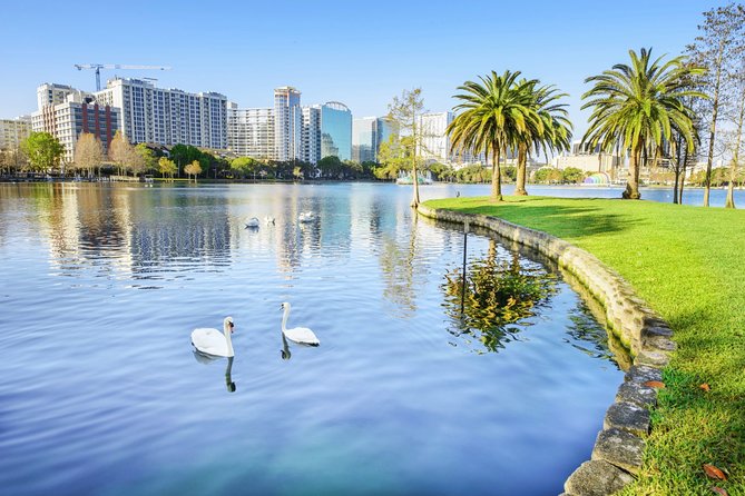 Arrival Transfer: Orlando Airport MCO to Orlando by Luxury SUV - The meet-and-greet method at MCO (and how to make it easy)
