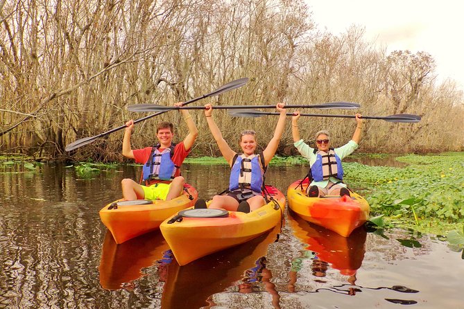Blue Springs Manatee Tours & Wildlife Adventure Orlando - The science talk that makes sightings click