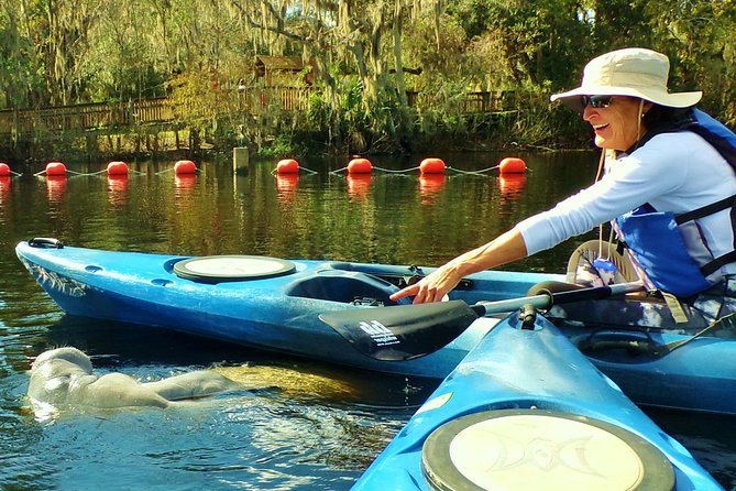 Blue Springs Manatee Tours & Wildlife Adventure Orlando - Price: $80 per person and what you’re truly paying for