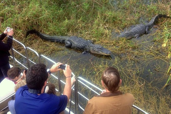 Central Florida Everglades Airboat Tour from Orlando with Pickup - Key Points Worth Your Time