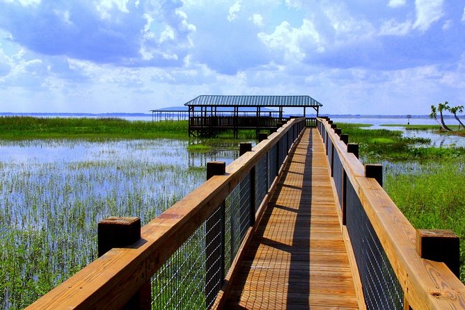 Central Florida Everglades Airboat Tour from Orlando with Pickup - Wild Florida Adventure Park: More Than an Airboat Stop