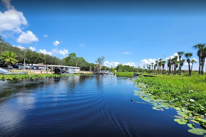 Central Florida's Airboat Rides - Price and Value: Is $36.55 Worth It?