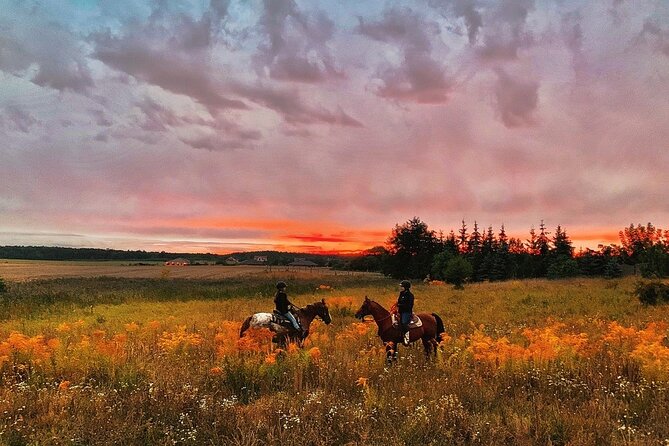 Champagne and Charcuterie Sunset Trail Ride - Entering Lake Louisa State Park at Sunset (Without the Stress)