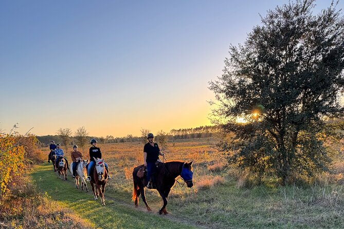 Champagne and Charcuterie Sunset Trail Ride - What to Expect on the Trail Ride Itself