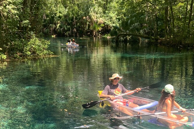 Clear Canoeing and Wildlife Sightseeing at Silver Springs - Price and value: what $35 buys you (and what it doesn’t)