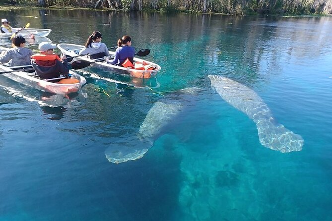 Clear Kayak or Paddleboard Manatee Adventure - Fort King paddle trail: what the 2 hours actually feel like
