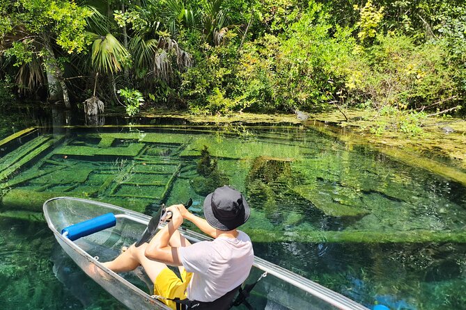 Clear Kayak or Paddleboard Manatee Adventure - Price and value at $80: what to budget beyond the ticket