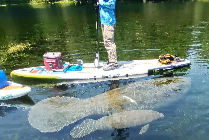 Clear Kayak or Paddleboard Manatee Adventure - What to bring: heat, splash, and “no surprises” gear rules