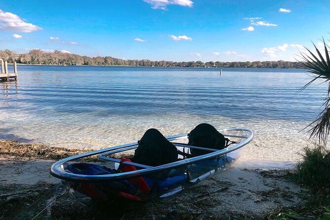 Clear Kayak Sunset Tour through The Winter Park Chain of Lakes - Wildlife Moments You Can Actually Spot