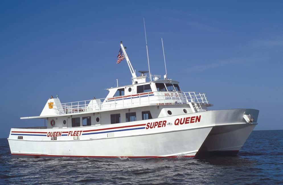Clearwater Beach and Dolphin Cruise Day Trip from Orlando - Orlando to the Gulf: an easy ride with actual guidance