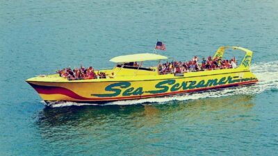 Clearwater Beach and Dolphin Cruise Day Trip from Orlando - Clearwater Beach for five hours: calm water and real choice