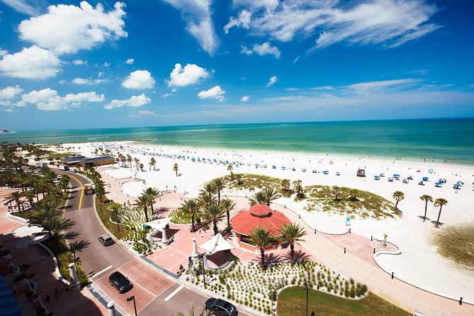 Clearwater Beach Bus Express - Price and What $100 Buys You in Real Value