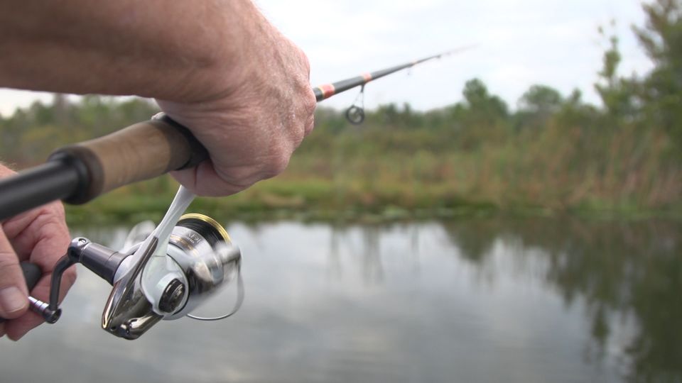 Clermont: Trophy Bass Fishing Experience with Expert Guide - The 10 lb Wall of Fame challenge (and what it takes mentally)
