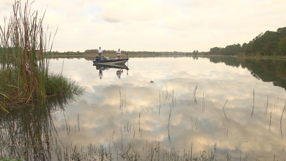 Clermont: Trophy Bass Fishing Experience with Expert Guide - Price and value: $325 for a small private group