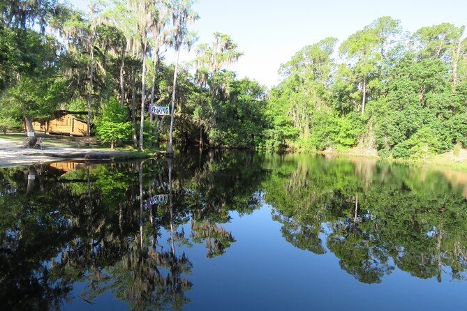 Cypress Forest: Guided Nature Kayak Eco-Tour - Your 2-hour paddle: safety briefing to old-growth cypress