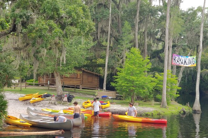 Cypress Forest: Guided Nature Kayak Eco-Tour - Tandem vs single kayaks, and the 4+ kid-friendly setup