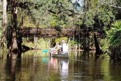 Cypress Forest: Guided Nature Kayak Eco-Tour - What wildlife you might spot (and what to expect if you don’t)