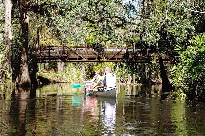 Cypress Forest: Guided Nature Kayak Eco-Tour - What wildlife you might spot (and what to expect if you don’t)