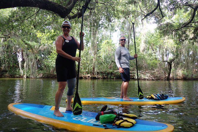 Dora Canal Wildlife Kayak Tour – Scenic Old Florida - Dora Canal Cypress Tunnel: What You’re Really Signing Up For