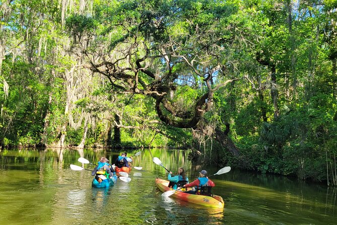 Dora Canal Wildlife Kayak Tour – Scenic Old Florida - Lake Dora First: Why Starting Here Helps (Even If You’re New)