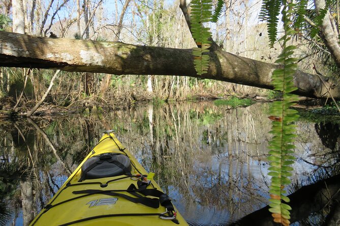 Exclusive Nature Escape Kayak Adventure on Blackwater Creek - Key things to know before you paddle