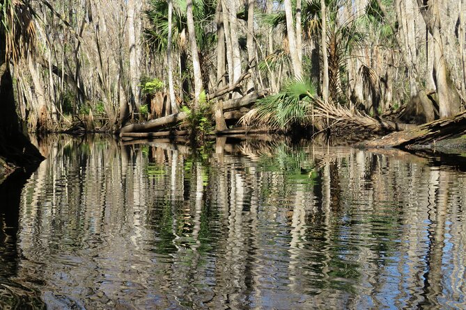 Exclusive Nature Escape Kayak Adventure on Blackwater Creek - The guide and the safety setup (gear + medically trained leadership)