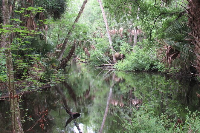 Exclusive Nature Escape Kayak Adventure on Blackwater Creek - Paddling Blackwater Creek: what your 3 hours feel like